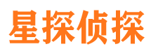 雅安侦探公司